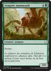 Product image for Araignée mammouth