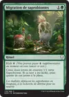Product image for Migration de saprobiontes