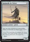 Product image for Sentinelle de Téfeiri