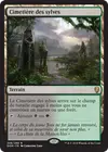 Product image for Cimetière des sylves