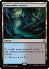 Product image for Catacombes noyées
