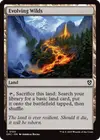 Product image for Evolving Wilds