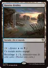 Product image for Bassins fétides