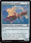 Product image for Ornithoptère de paradis