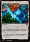 Product image for Immensité terramorphe
