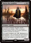 Product image for Maître des zombies