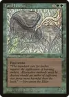 Product image for Sangsues terrestres
