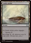 Product image for Lande stérile