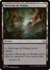 Product image for Marécage de Bojuka