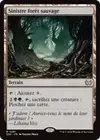 Product image for Sinistre forêt sauvage