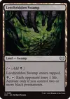 Product image for Leechridden Swamp