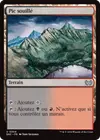 Product image for Pic souillé