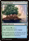 Product image for Îlot enchevêtré
