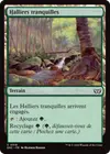 Product image for Halliers tranquilles