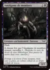 Product image for Amalgame de membres