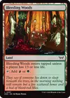 Product image for Bleeding Woods