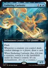 Product image for Enduring Curiosity