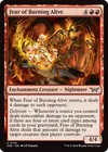 Product image for Fear of Burning Alive