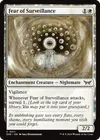 Product image for Fear of Surveillance