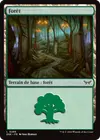 Product image for Forêt