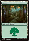Product image for Forest