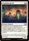Product image for Orphelins du blé