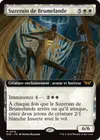 Product image for Suzerain de Brumelande