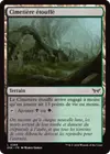 Product image for Cimetière étouffé