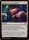 Product image for Immensité terramorphe