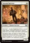 Product image for Veteran Survivor