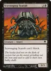 Product image for Scavenging Scarab