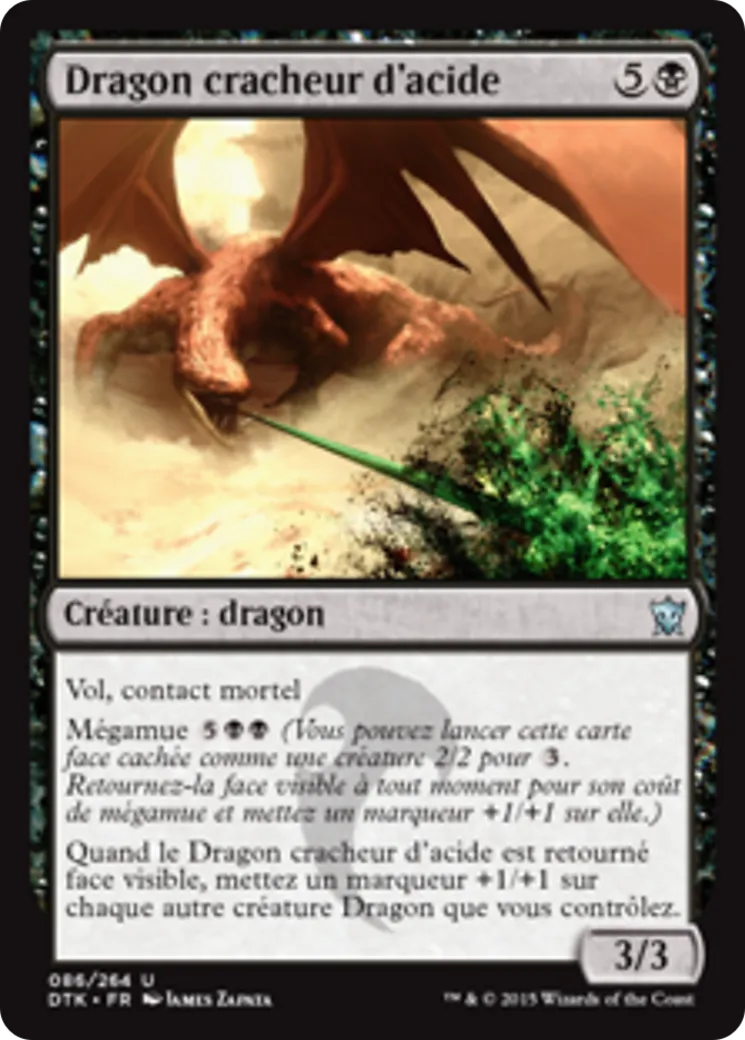 Dragon cracheur d'acide — Dragons of Tarkir — Magic: The Gathering