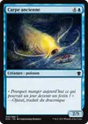 Product image for Carpe ancienne