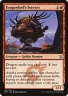 Product image for Dragonlord's Servant