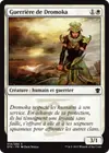 Product image for Guerrière de Dromoka