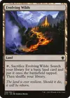 Product image for Evolving Wilds