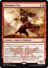 Product image for Shamane d'ire