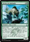 Product image for Arynx en maraude