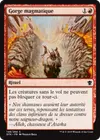Product image for Gorge magmatique