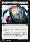 Product image for Pourrissement cérébral