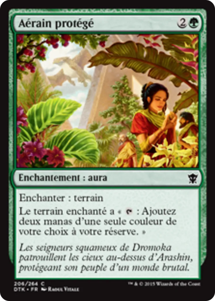 Aérain protégé — Dragons of Tarkir — Magic: The Gathering