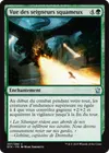 Product image for Vue des seigneurs squameux