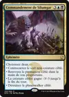 Product image for Commandement de Silumgar