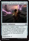 Product image for Gréement de chevaucheur de tempête