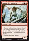 Product image for Rôdeur des sommets