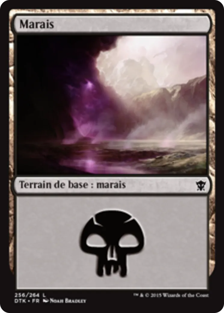 Marais — Dragons of Tarkir — Magic: The Gathering
