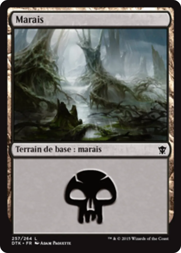 Marais — Dragons of Tarkir — Magic: The Gathering
