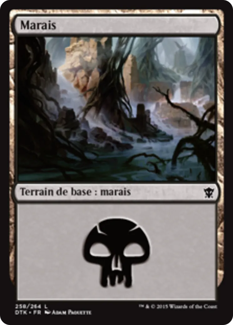 Marais — Dragons of Tarkir — Magic: The Gathering