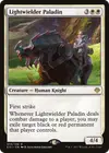 Product image for Lightwielder Paladin