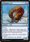 Product image for Windrider Eel